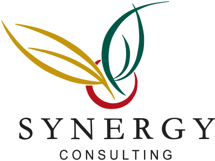 Synergy Consulting
